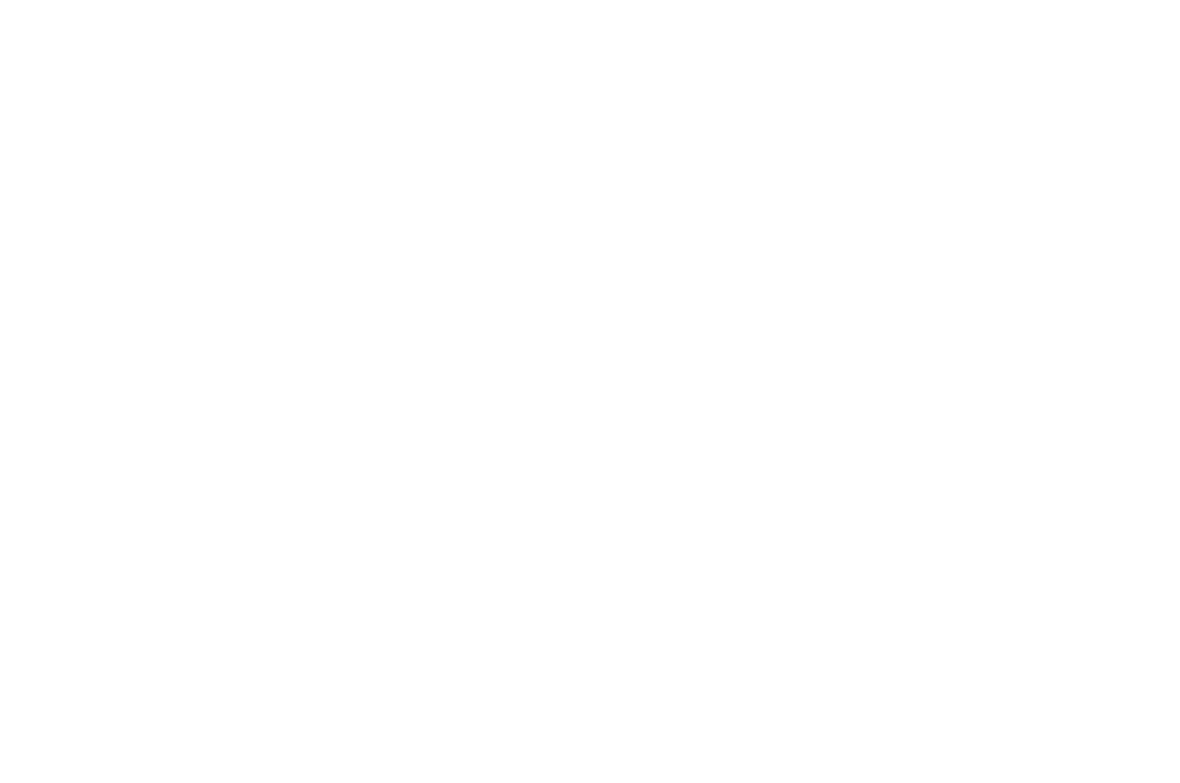 Premier Roofing